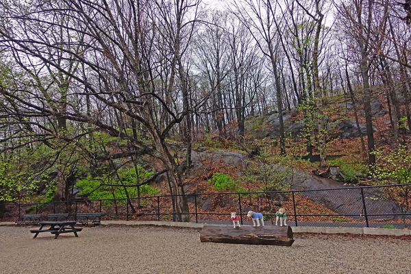 Dog Run at Inwood Hill Park photo 2